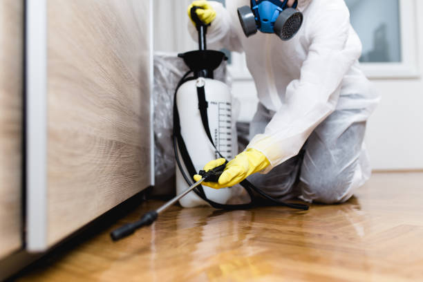 Best Pest Removal Services  in Lake City, FL