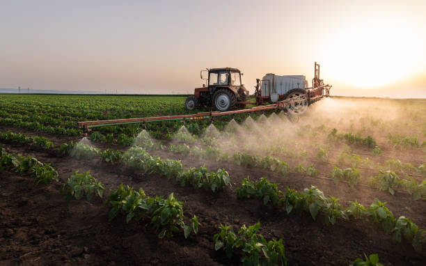 Best Mosquito Control Services  in Lake City, FL