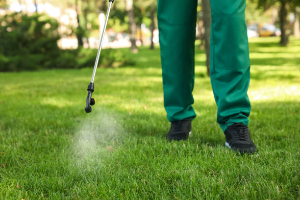 Best Pest Control Near Me in Lake City, FL
