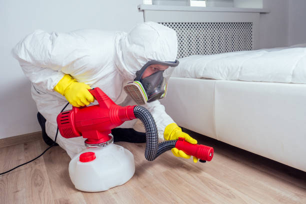 Pest Control Cost in Lake City, FL