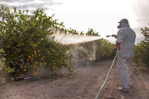 Best Best Pest Control Companies  in Lake City, FL